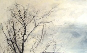 Winter Elm