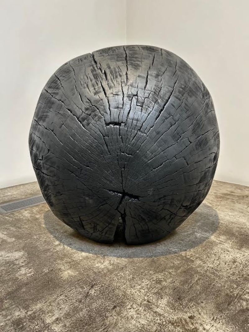 Black Sun