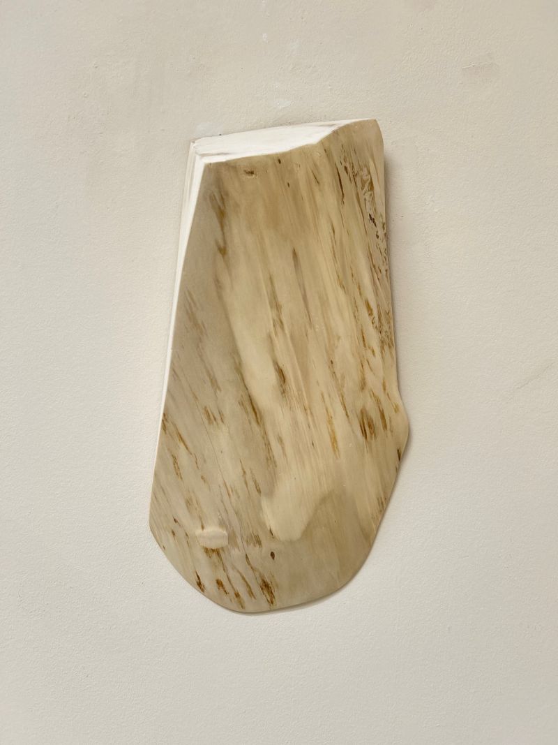 Shard #1