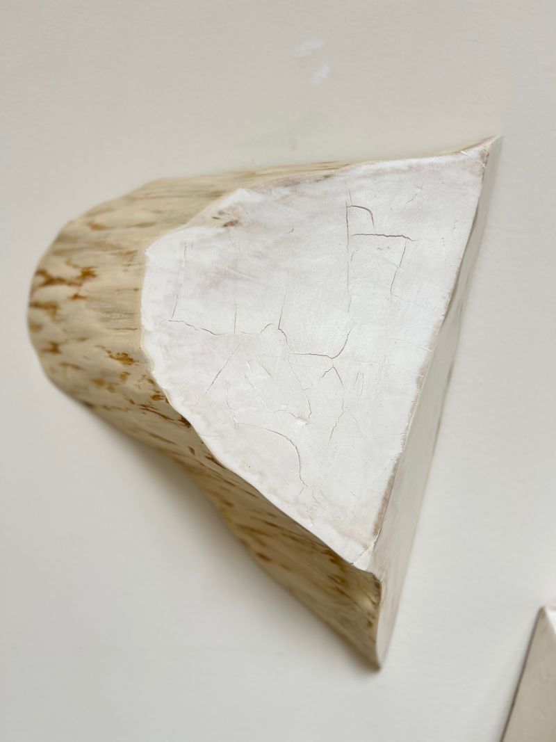 Shard #2