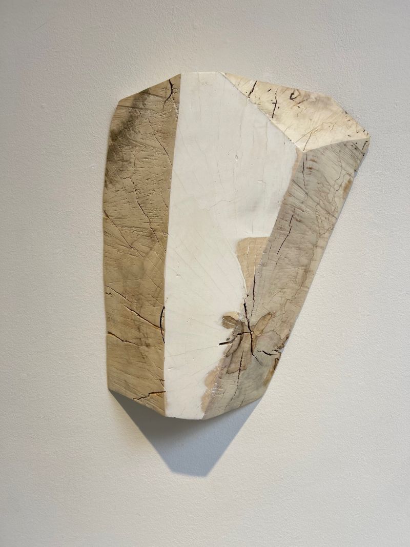 Shard #10