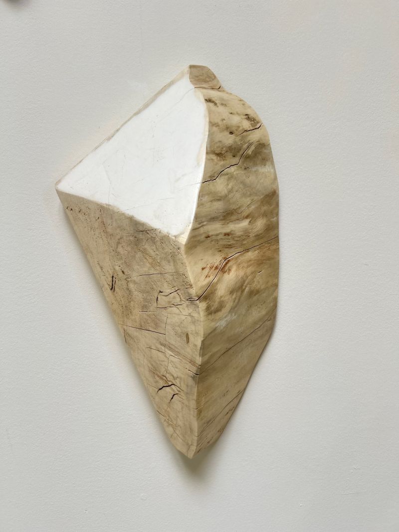 Shard #13