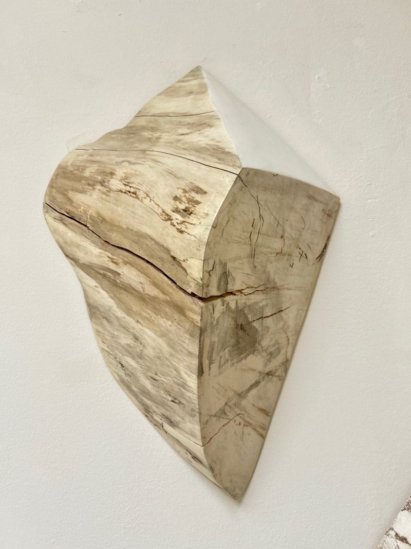 Shard #15