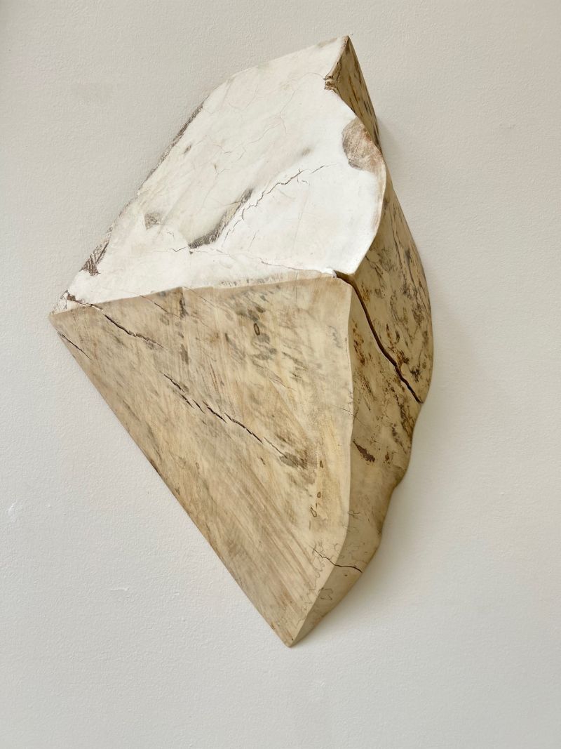 Shard #16