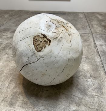 Chestnut Sphere #1