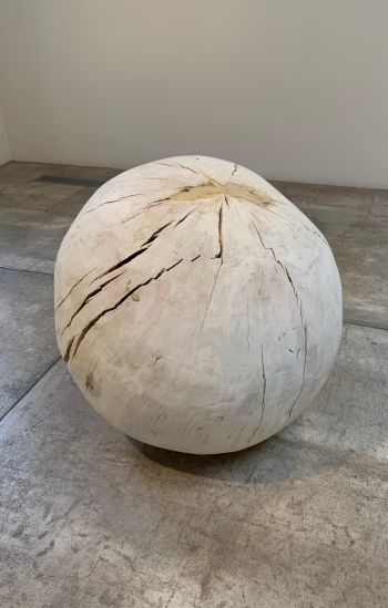 Chestnut Sphere 3