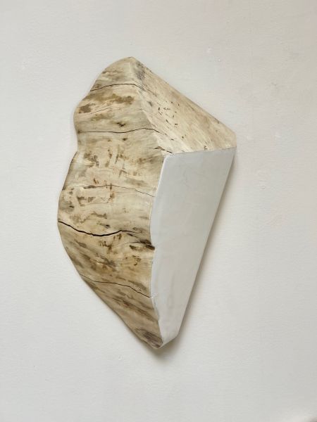 Shard #12